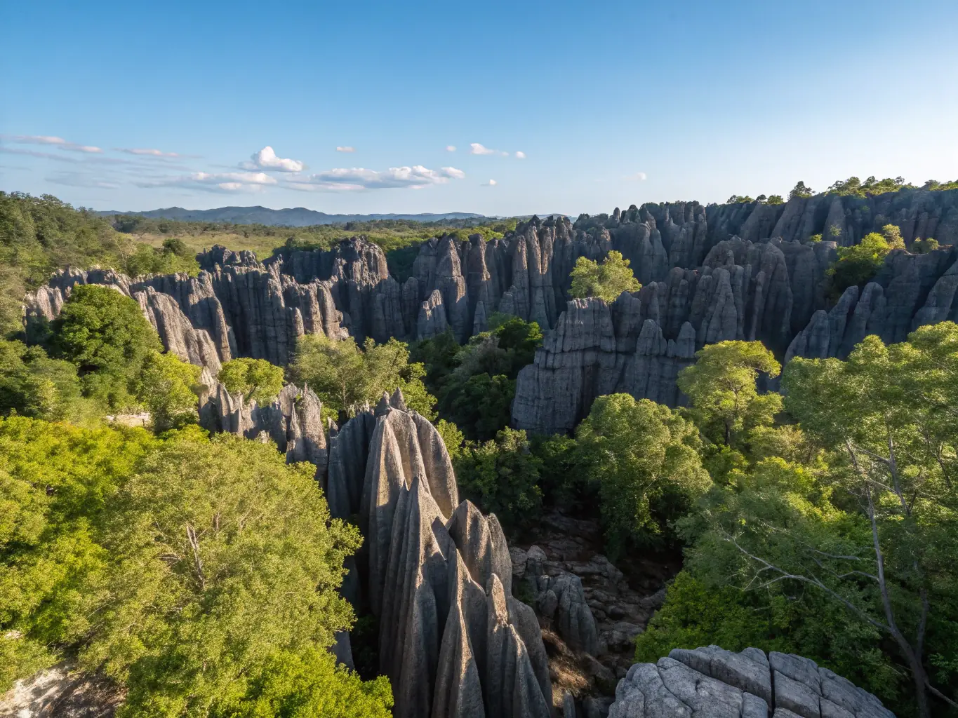 A striking image of the Tsingy formations in Ankarana National Park, showcasing the unique limestone karsts and lush green canyons. This image captures the dramatic and otherworldly landscape of Ankarana.