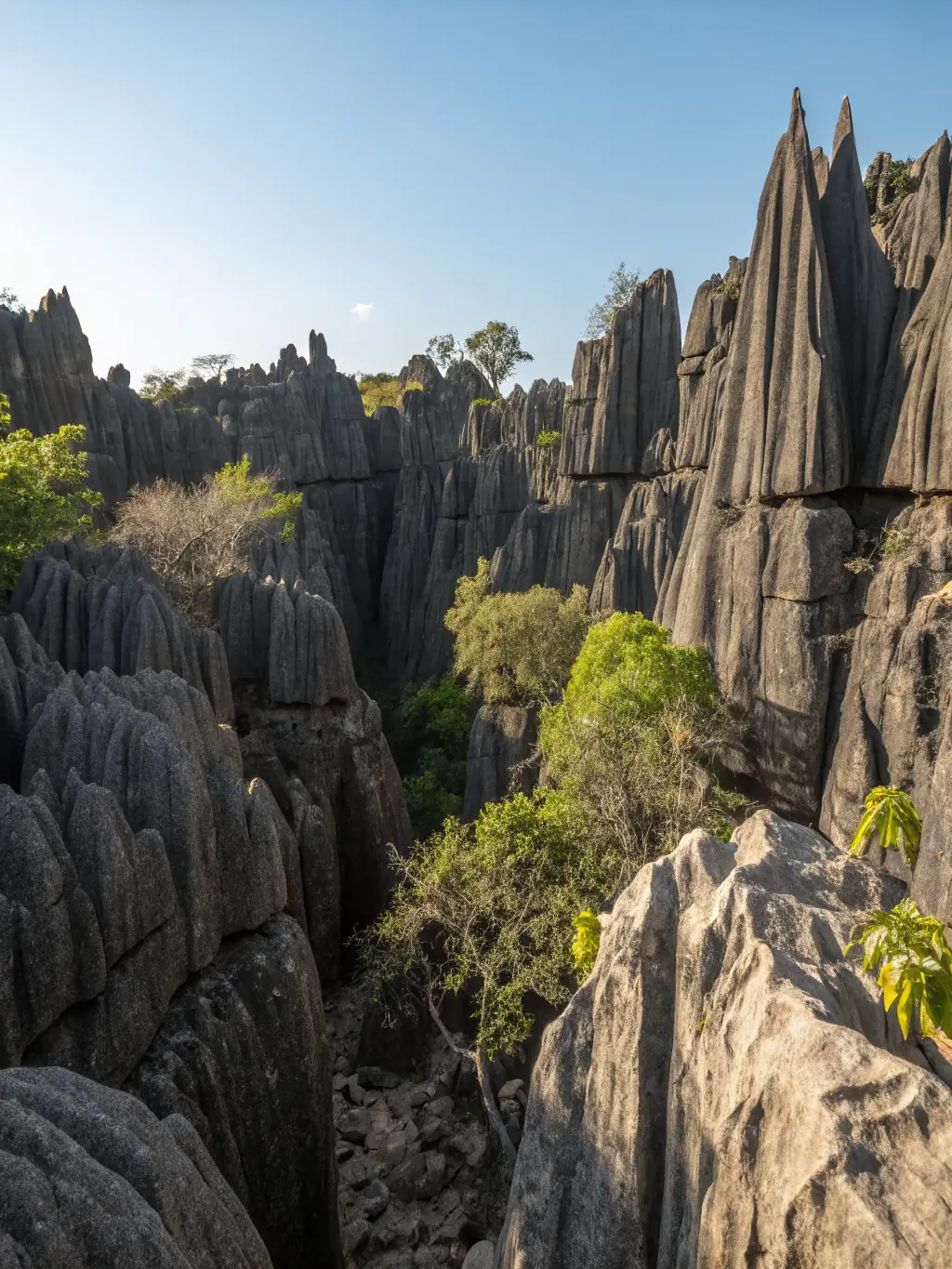 A scenic view of Isalo National Park in southern Madagascar, featuring its sandstone formations, canyons, and diverse plant life, capturing the park's rugged beauty and hiking opportunities.