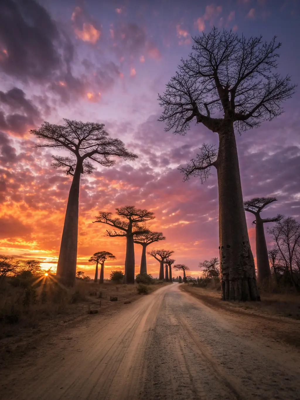 A vibrant photograph capturing the iconic Avenue of the Baobabs at sunset in Madagascar, showcasing the majestic trees silhouetted against the colorful sky, emphasizing the unique landscape and travel experience.